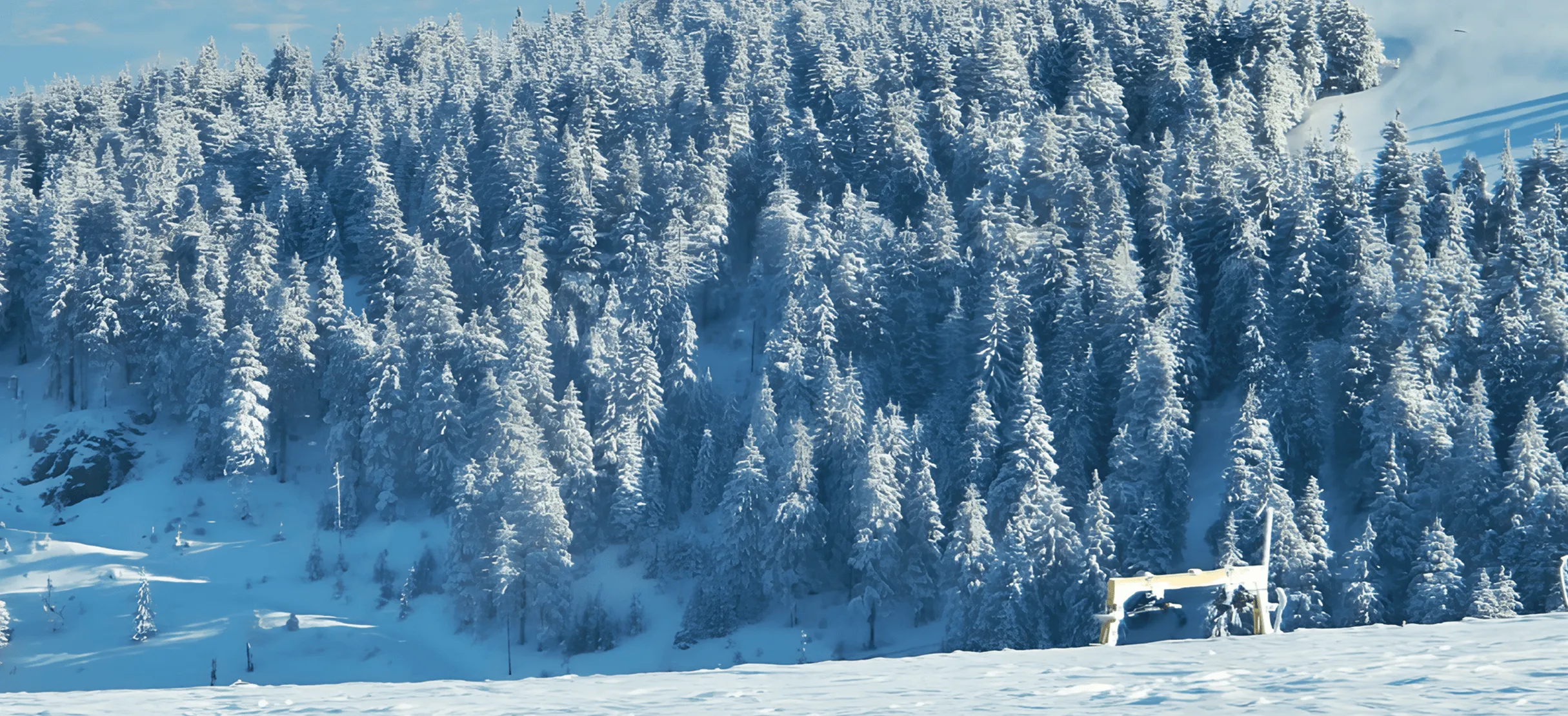 Snow-covered evergreen trees on a mountain slope with a clear blue sky and a small structure near the snow-covered ground.