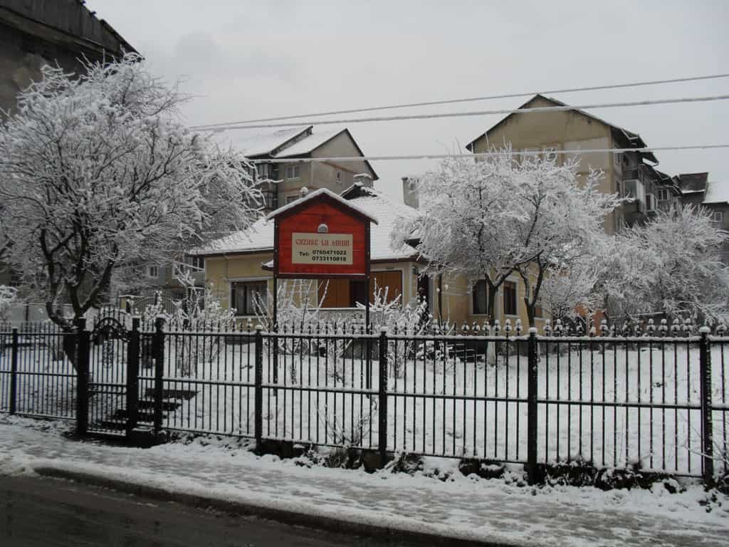 Snow-covered yard with leafless trees and bushes behind a black metal fence, a path leading to a beige house, and a red sign with phone numbers in front of the house on an overcast winter day.
