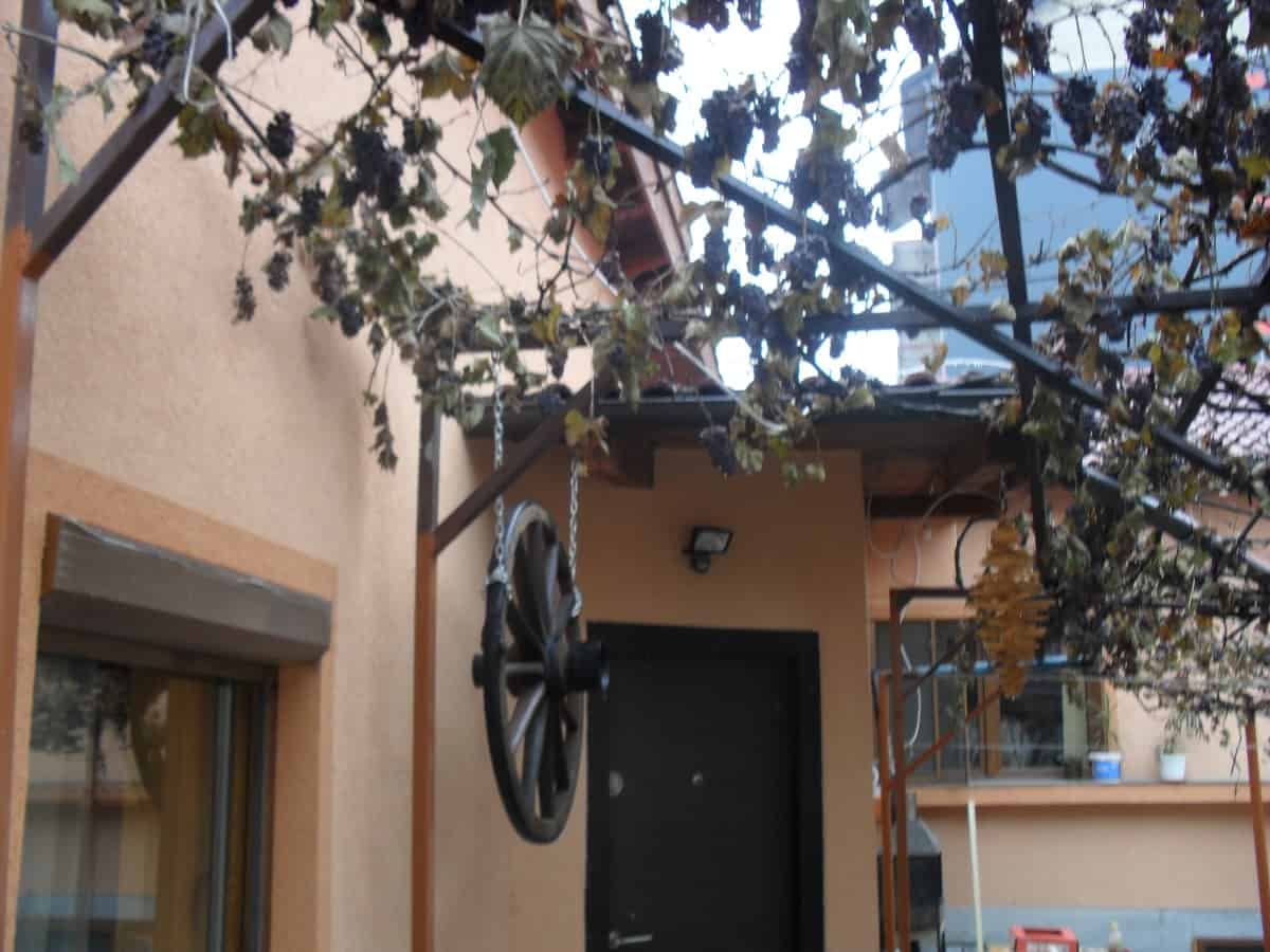 Outdoor view of a beige building entrance with a black door under a pergola covered in grapevines bearing ripe dark grapes and a wooden wagon wheel hanging by chains.